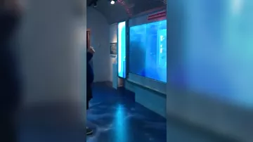 Акула напала на посетителя музея из "разбитого" аквариума
