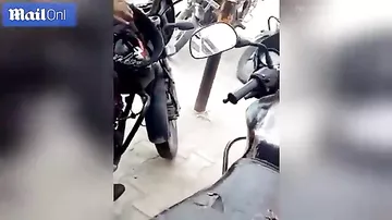 Охрана стоянки вычислила, кто сливает бензин, по видео — и это был не человек