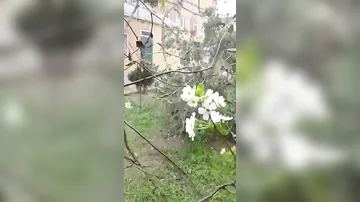 Azərbaycanda qeyri-adi təbiət hadisəsi