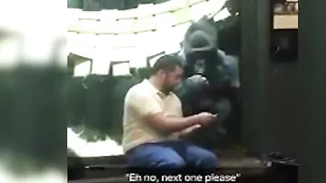 В Сети гадают, что показал посетитель зоопарка горилле на экране смартфона