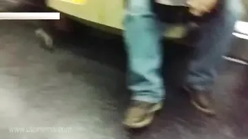 Крыса в вагоне нью-йоркского метро вызвала панику у пассажиров