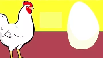 Saxta yumurtalar belə hazırlanır