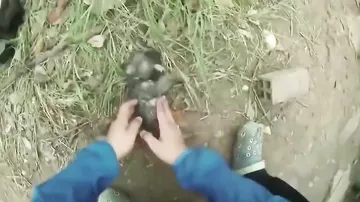 Мужчина спас утонувшего щенка, сделав ему вентиляцию легких бутылкой