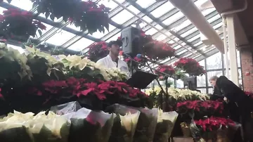 Продавец цветов заманивает покупателей своим необыкновенным голосом