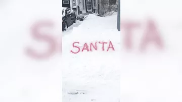 Девочка написала необычное послание для Санта-Клауса, наябедничав на своего брата