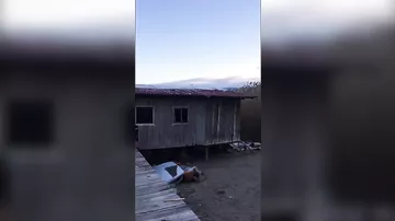 Лохнесское чудовище сняли на видео в Албании