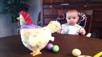 Малыш в шоке от игрушечной курицы, которая несет яйца