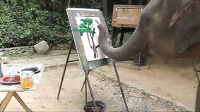 Слон который умеет рисовать