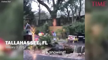 Во Флориде впервые за почти 30 лет выпал снег