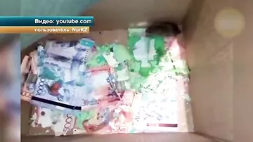 В Казахстане мыши пробрались в банкомат и съели все купюры