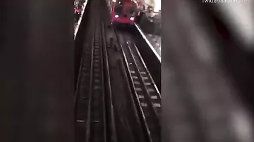Пассажирка уронила телефон в метро и пошла за ним в тоннель