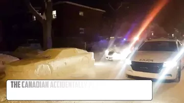 Полицейские приняли снежную скульптуру за реальный автомобиль