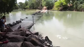Рыбак лишился улова из-за наглого крокодила
