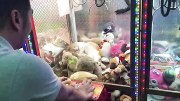 Мужчина попытался "выиграть" сладко спящую в игровом автомате кошку