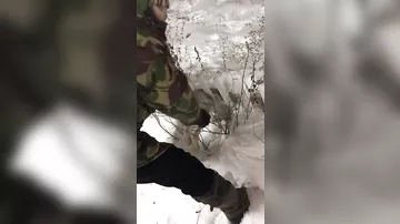 Заяц замёрз в Астане