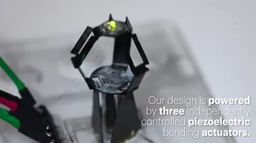 Sikkə ölçüsündə robot-cərrah düzəldilib