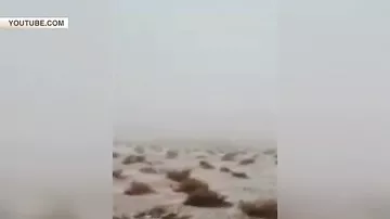 В Саудовской Аравии выпал снег-1