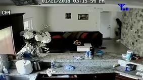 Хозяйка с работы наблюдала, как её дом грабят, пока сын прячется в шкафу