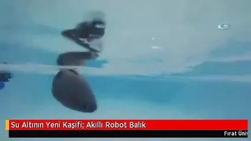 В Турции разработана "рыба-робот"