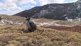 Видео с места крушения вертолета, сбитого лосем в США