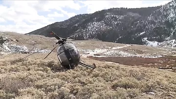 Видео с места крушения вертолета, сбитого лосем в США
