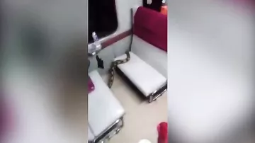 Огромный питон в поезде вызвал панику среди пассажиров