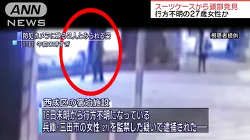 В чемодане русского мигранта, приехавшего в Японию из США, нашли голову девушки