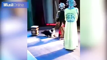 Собака выбежала на сцену и напала на актёра, но он доиграл роль до конца