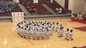 Школьницы, одетые коровами, поразили зрителей своими хореографическими талантами