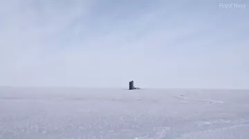 Buzlar arasında "soyuq savaş" başlandı