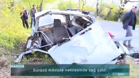 Avtomobil ağaca çırpıldı: sürücü möcüzə nəticəsində sağ qaldı