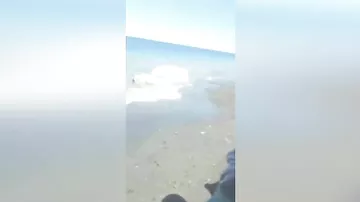Огромный «волосатый» монстр из глубин океана обнаружен на пляже