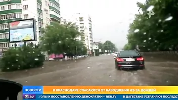 На залитом дождями юге России потоки воды уносят скот и машины