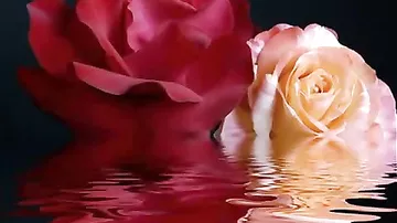 Mikayıl Müşfiq - Küsmərəm