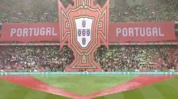 Португалия уничтожила Алжир без голов Роналду