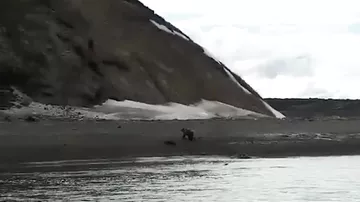 На Камчатке рыбак утонул в реке, спасаясь от медведя