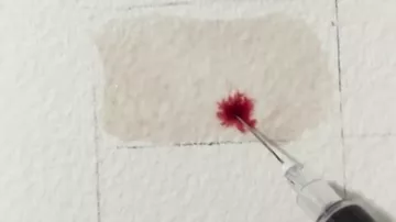 Художница, рисующая кровью, готовится к своей первой выставке