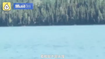В Китае на видео попало загадочное существо, плавающее в озере