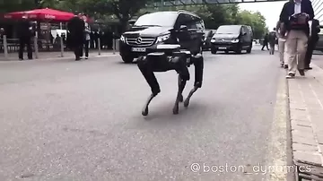 Робот-пес Boston Dynamics впервые прогулялся по улицам Ганновера