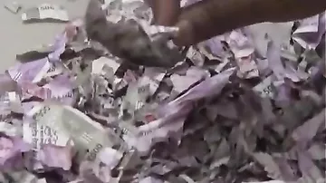 В Индии сняли на видео последствия нашествия крыс на банкомат