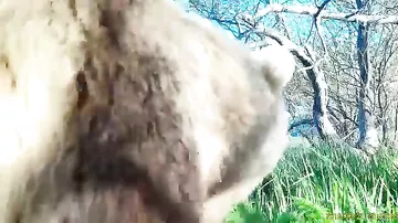 Медвежонок делает селфи