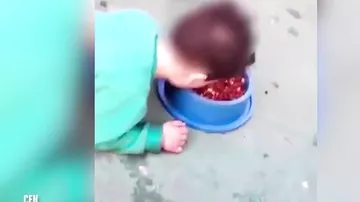 Ana qüsurlu oğluna zorla it yeməyi yedirtdi