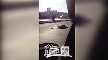 В Харькове грузовик насмерть сбил пешехода (18+)