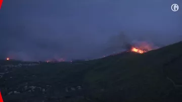 В Греции из-за лесных пожаров погибли 20 человек