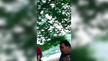 Azərbaycanda ağac kölgəsini ərəbə pulla “satdılar”