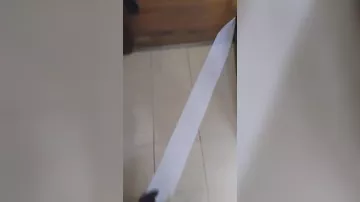 Котенок и туалетная бумага