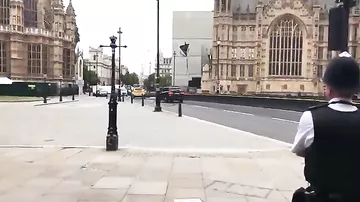 Автомобиль влетел в ограждение у парламента в Лондоне: есть пострадавшие
