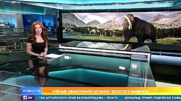 Сенсационная находка: ученые обнаружили "золотого мамонта" на Новосибирских островах
