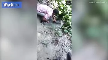 Индиец погладил крокодила по голове и чуть не лишился руки