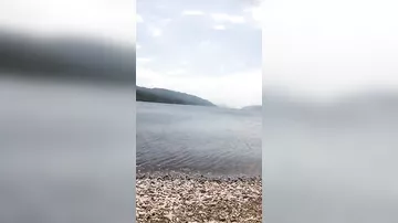 Турист, отправившийся на пляж, снял на видео нечто похожее на водяное чудовище